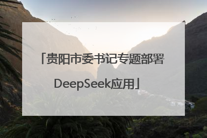 贵阳市委书记专题部署DeepSeek应用