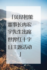 贝昂智能董事长冉宏宇先生出席世界红十字日主题活动