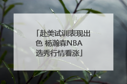 赴美试训表现出色 杨瀚森NBA选秀行情看涨