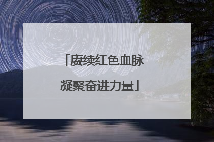 赓续红色血脉 凝聚奋进力量
