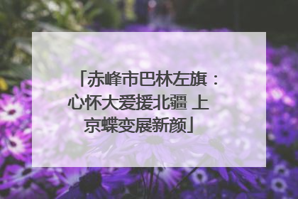 赤峰市巴林左旗：心怀大爱援北疆 上京蝶变展新颜