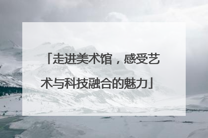 走进美术馆，感受艺术与科技融合的魅力