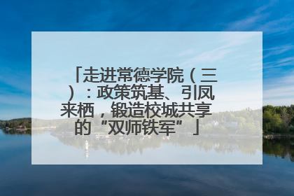 走进常德学院（三）：政策筑基、引凤来栖，锻造校城共享的“双师铁军”