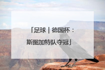 足球｜德国杯：斯图加特队夺冠