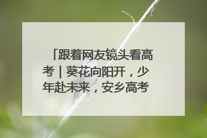 跟着网友镜头看高考｜葵花向阳开，少年赴未来，安乡高考首日的希望图景