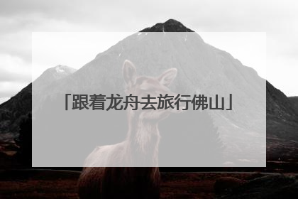 跟着龙舟去旅行佛山