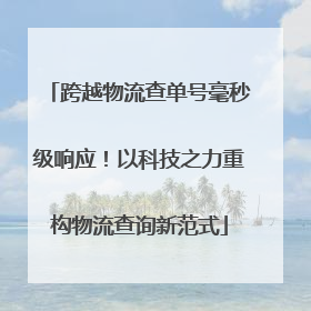 跨越物流查单号毫秒级响应！以科技之力重构物流查询新范式
