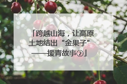 跨越山海，让高原土地结出“金果子”——援青故事②