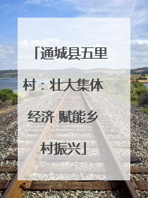 通城县五里村：壮大集体经济 赋能乡村振兴