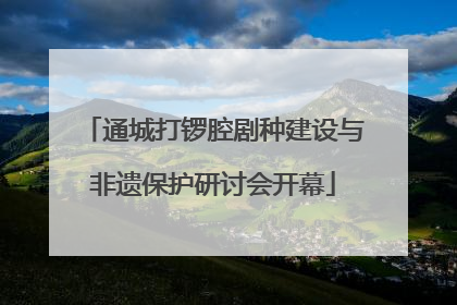 通城打锣腔剧种建设与非遗保护研讨会开幕