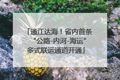 通江达海！省内首条“公路-内河-海运”多式联运通道开通