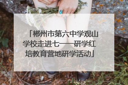 郴州市第六中学观山学校走进七一一研学红培教育营地研学活动
