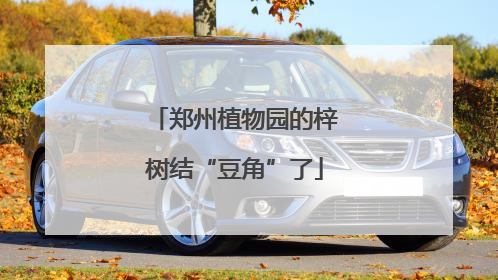 郑州植物园的梓树结“豆角”了