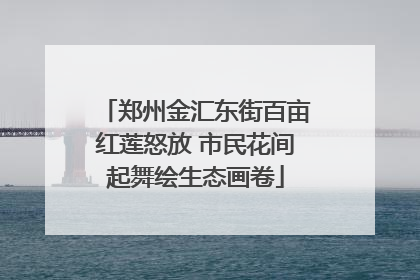 郑州金汇东街百亩红莲怒放 市民花间起舞绘生态画卷