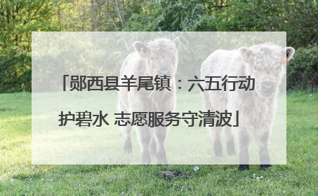 郧西县羊尾镇：六五行动护碧水 志愿服务守清波