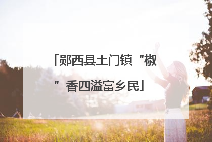 郧西县土门镇“椒”香四溢富乡民