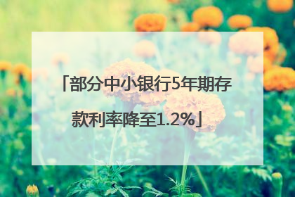 部分中小银行5年期存款利率降至1.2%