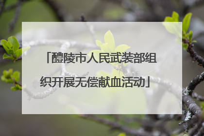 醴陵市人民武装部组织开展无偿献血活动