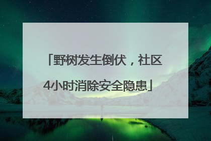 野树发生倒伏，社区4小时消除安全隐患