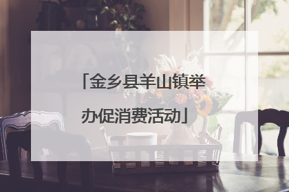 金乡县羊山镇举办促消费活动