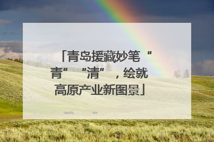 青岛援藏妙笔“青”“清”，绘就高原产业新图景