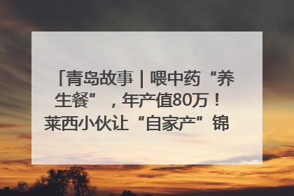 青岛故事｜喂中药“养生餐”，年产值80万！莱西小伙让“自家产”锦鲤“游”向全国