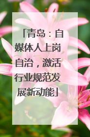 青岛：自媒体人上岗自治，激活行业规范发展新动能