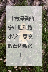 青海省西宁市胜利路小学：思政教育拓新路