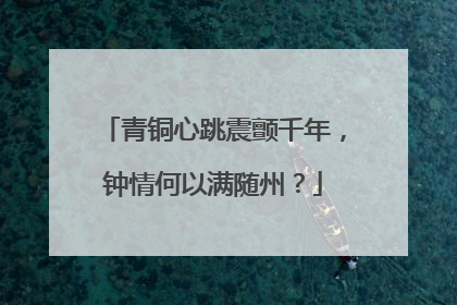 青铜心跳震颤千年，钟情何以满随州？