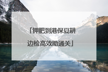 钾肥到港保夏耕 边检高效助通关