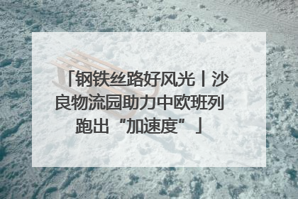 钢铁丝路好风光丨沙良物流园助力中欧班列跑出“加速度”