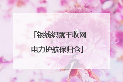 银线织就丰收网 电力护航保归仓