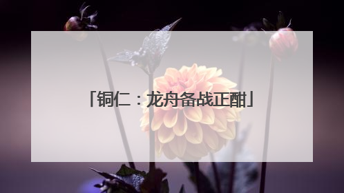 铜仁：龙舟备战正酣