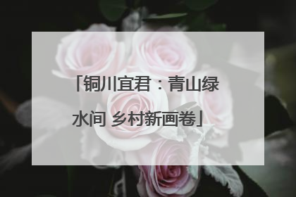 铜川宜君：青山绿水间 乡村新画卷