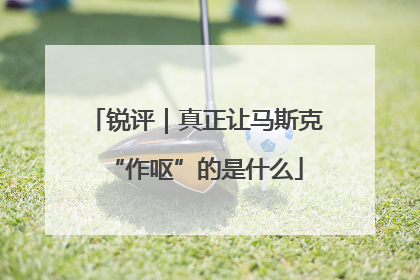 锐评｜真正让马斯克“作呕”的是什么