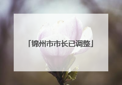 锦州市市长已调整