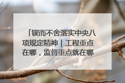 锲而不舍落实中央八项规定精神｜工程重点在哪，监督重点就在哪——广西深化政治监督护航平陆运河建设