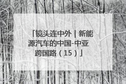 镜头连中外｜新能源汽车的中国-中亚跨国路（15）