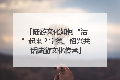 陆游文化如何“活 ”起来？宁德、绍兴共话陆游文化传承