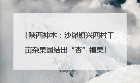 陕西神木：沙峁镇兴四村千亩杂果园结出“杏”福果