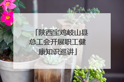 陕西宝鸡岐山县总工会开展职工健康知识巡讲