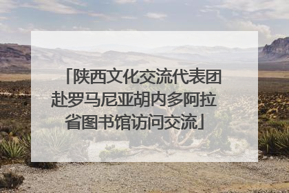 陕西文化交流代表团赴罗马尼亚胡内多阿拉省图书馆访问交流