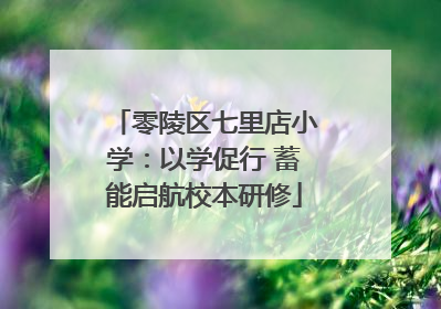 零陵区七里店小学：以学促行 蓄能启航校本研修
