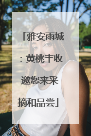 雅安雨城：黄桃丰收 邀您来采摘和品尝