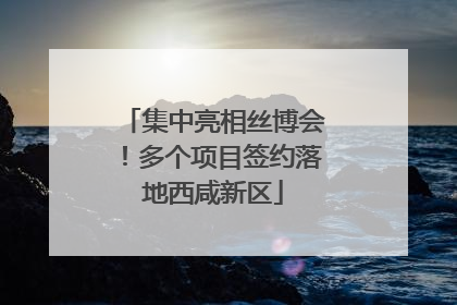 集中亮相丝博会！多个项目签约落地西咸新区
