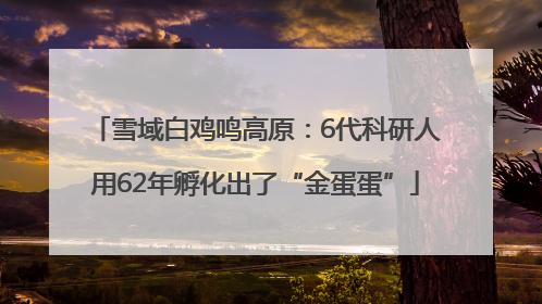 雪域白鸡鸣高原：6代科研人用62年孵化出了“金蛋蛋”