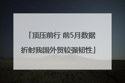 顶压前行 前5月数据折射我国外贸较强韧性