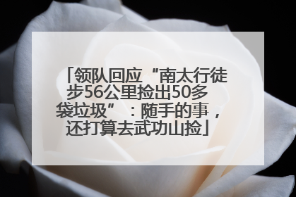 领队回应“南太行徒步56公里捡出50多袋垃圾”：随手的事，还打算去武功山捡