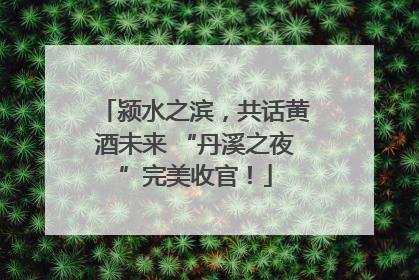 颍水之滨，共话黄酒未来 “丹溪之夜”完美收官！
