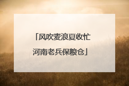 风吹麦浪夏收忙 河南老兵保粮仓